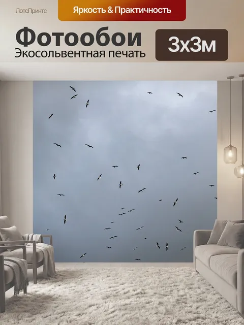 Фотообои Полет чайки