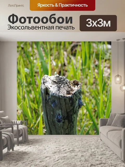 Фотообои Дерево