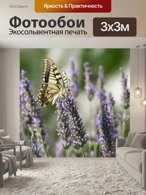 Фотообои Бабочка