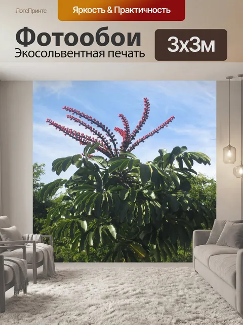 Фотообои Цветы