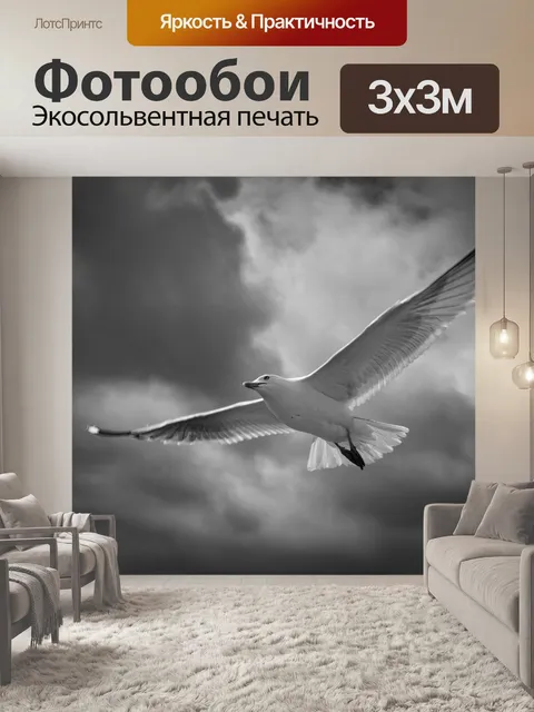Фотообои Чайки в море