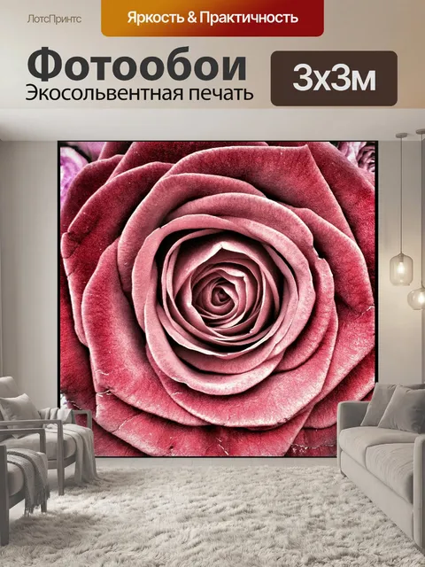 Фотообои Роза