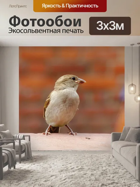 Фотообои Птицы