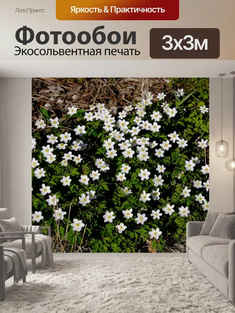 Фотообои Древесные анемоны