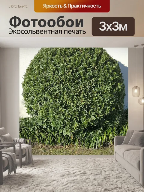 Фотообои Дерево