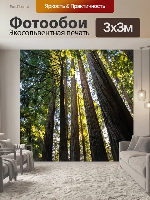 Фотообои Секвойи