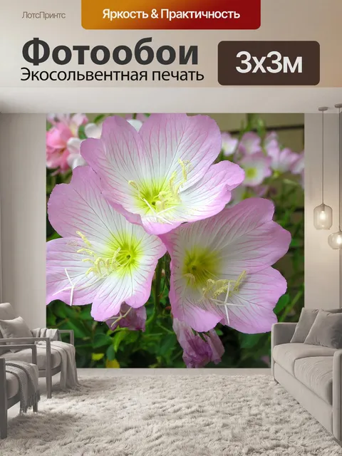 Фотообои Цветы