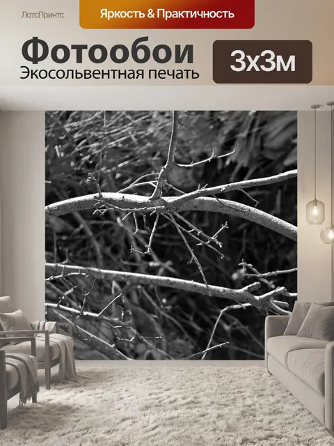 Фотообои Ветви