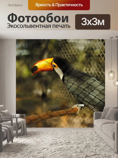 Фотообои Тукан