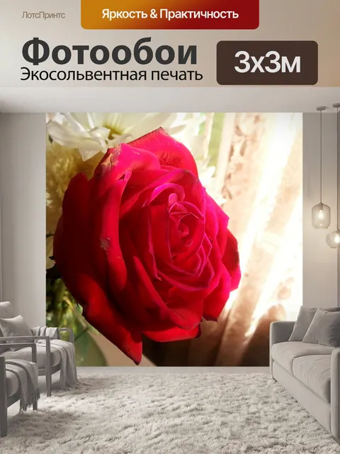 Фотообои Красная Роза