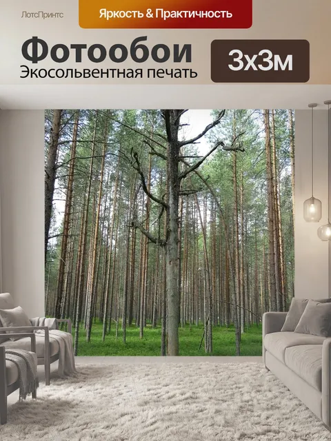Фотообои Лес