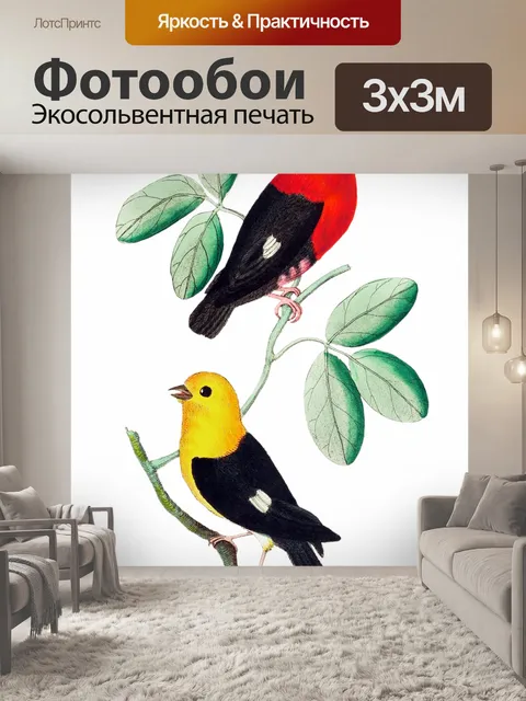 Фотообои Птица тропических старинных искусства