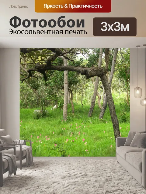 Фотообои Сиам тюльпан цветок Па Хин Нгам