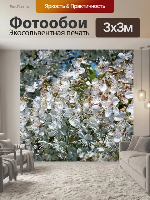 Фотообои Вишня