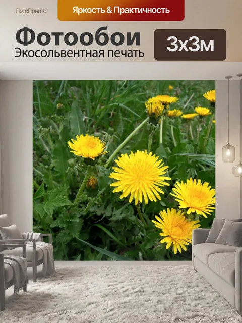 Фотообои Одуванчики