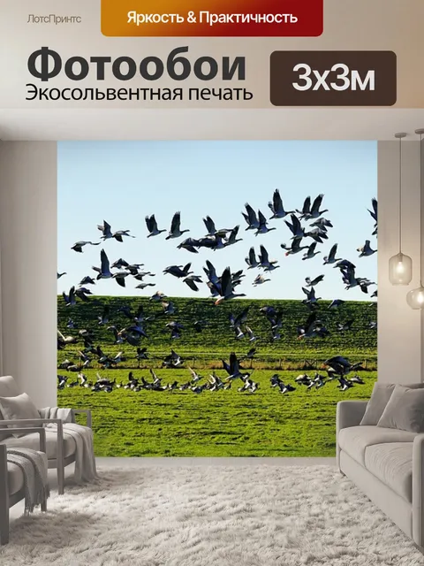 Фотообои Птицы