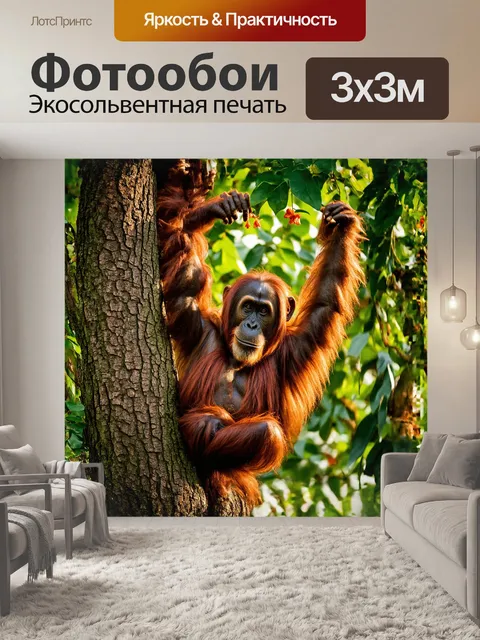 Фотообои орангутанг, удобно устроившись на большом ветвистом дереве, изучает свое окружение в зоопарке чианг-май