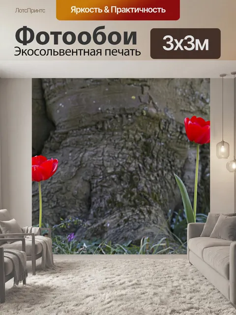 Фотообои Тюльпаны