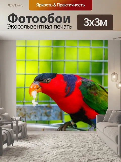 Фотообои черный лори