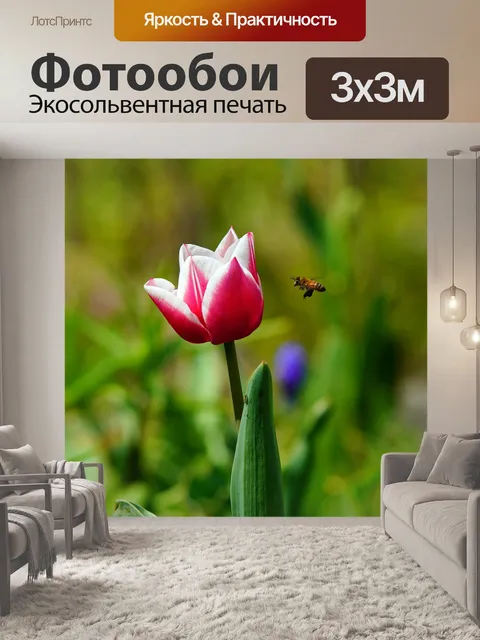 Фотообои Цветок