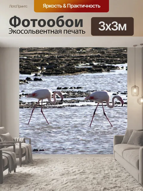 Фотообои Птицы