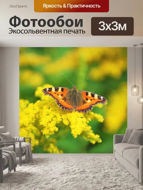 Фотообои Бабочка