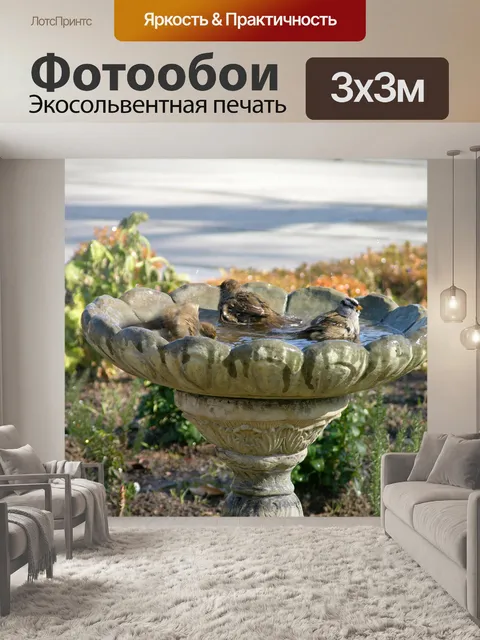 Фотообои Три птицы купания