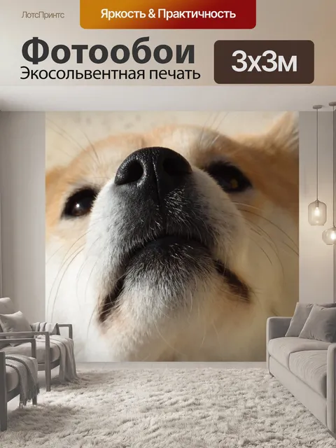 Фотообои Собака