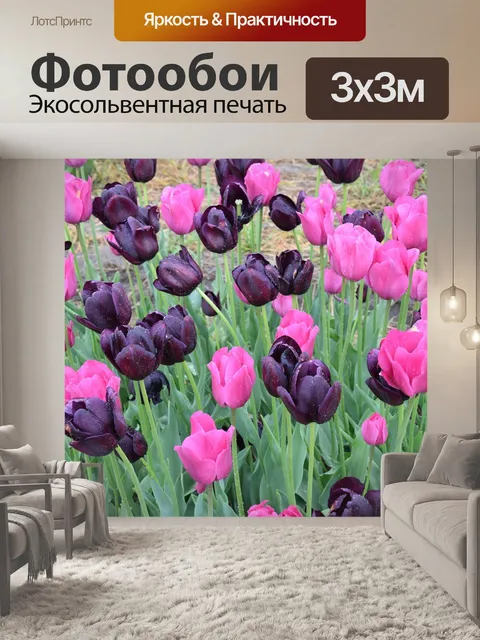 Фотообои Тюльпаны