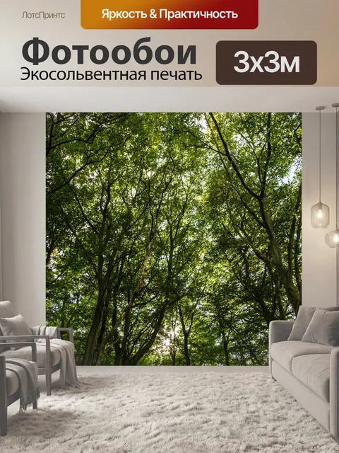 Фотообои лес