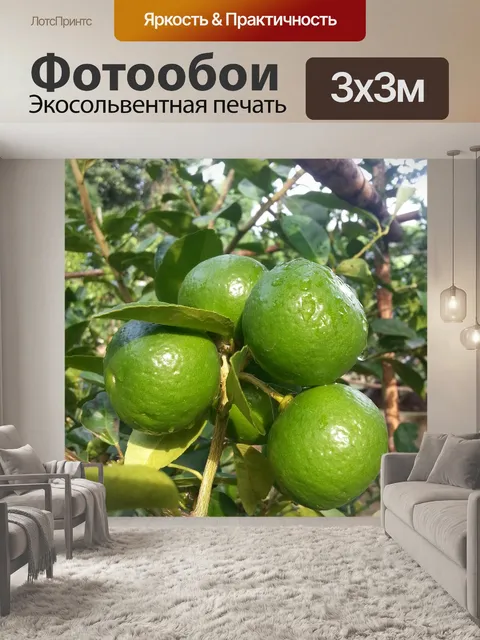 Фотообои Лайм