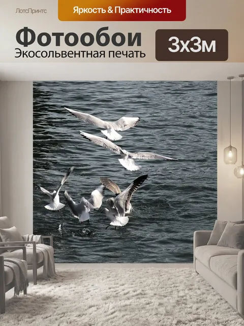 Фотообои Чайки