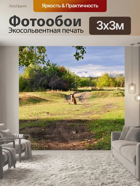 Фотообои Собакой в ​​лесу