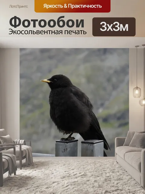 Фотообои Чернить