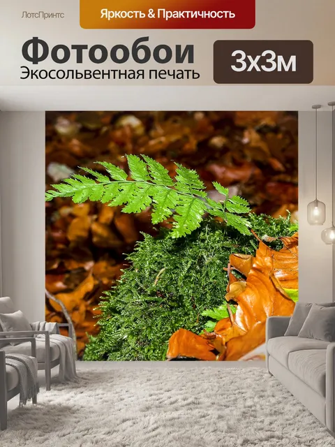 Фотообои Папоротник