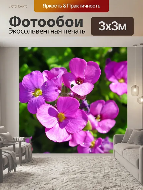 Фотообои Цветы
