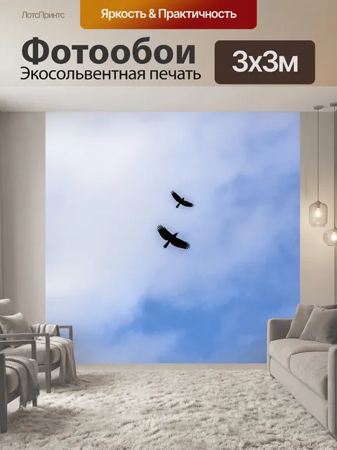 Фотообои Птицы