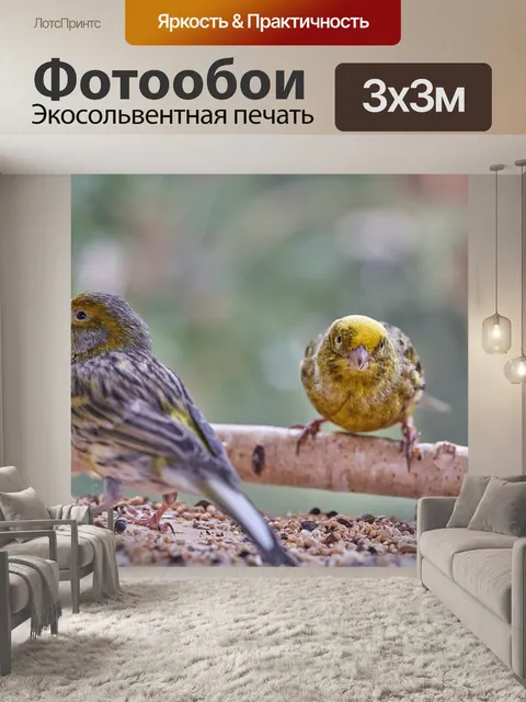 Фотообои Птица