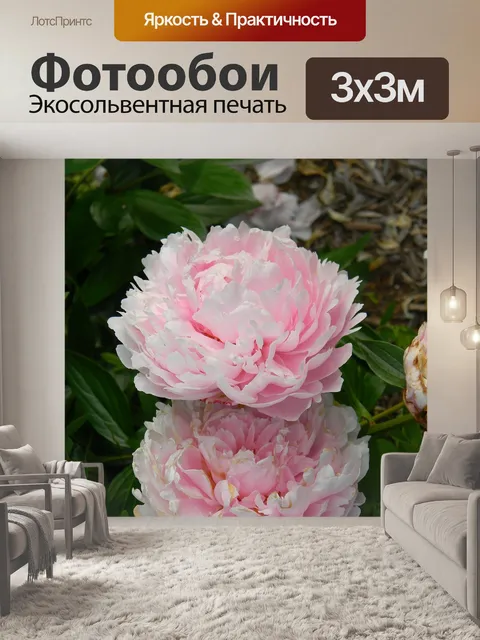 Фотообои Цветы