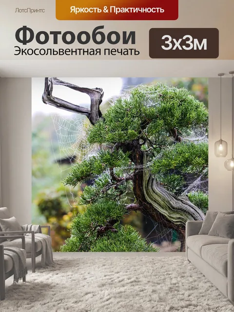 Фотообои Веб