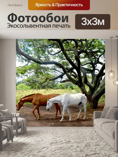 Фотообои Мауи