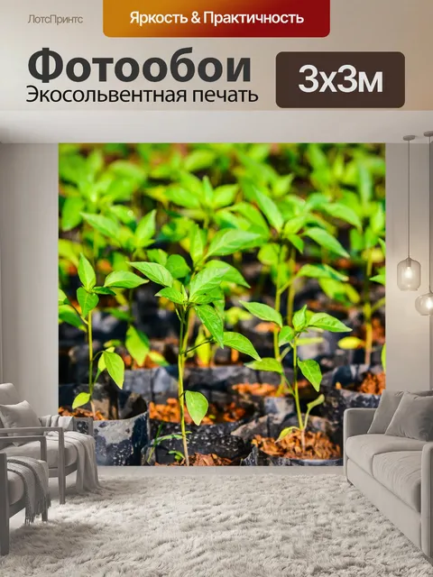 Фотообои Цветы