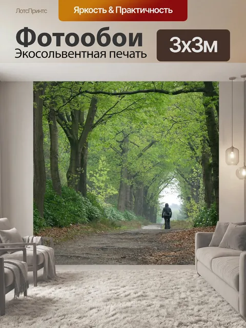Фотообои Дорога