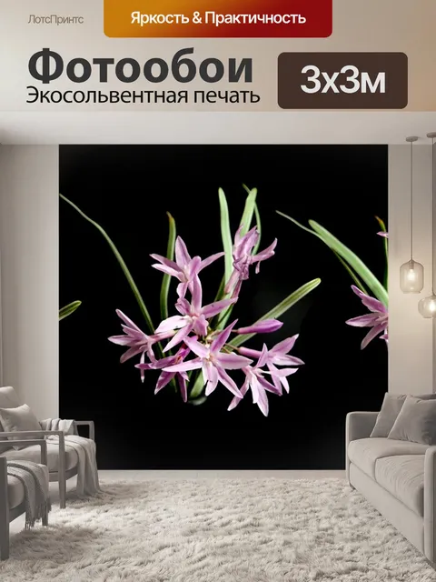 Фотообои Цветы