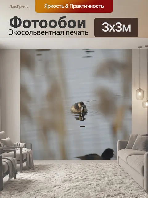 Фотообои Птица