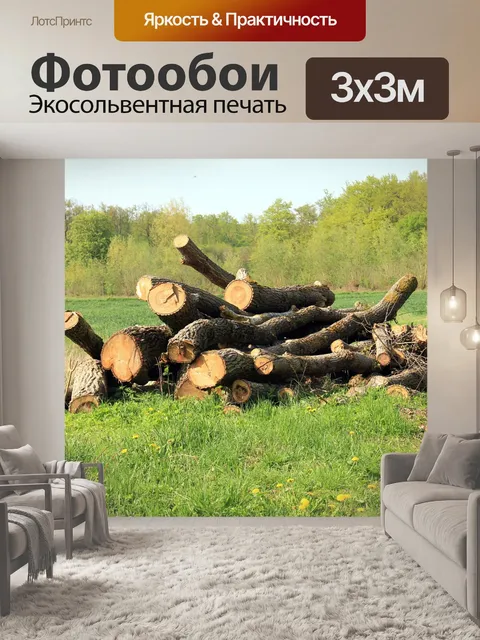 Фотообои Древесина