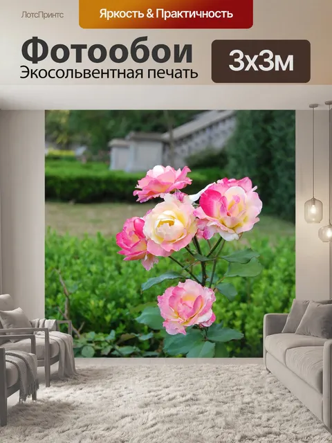 Фотообои Розы