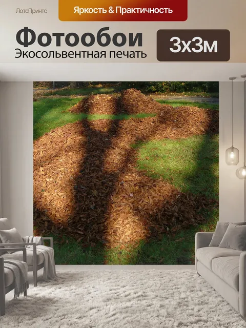 Фотообои Листья