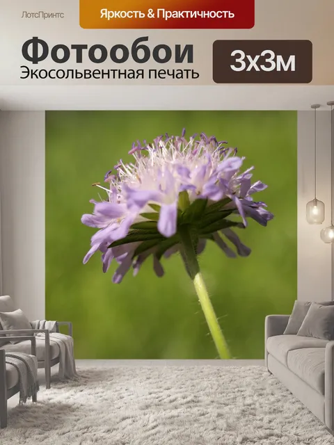 Фотообои Луг