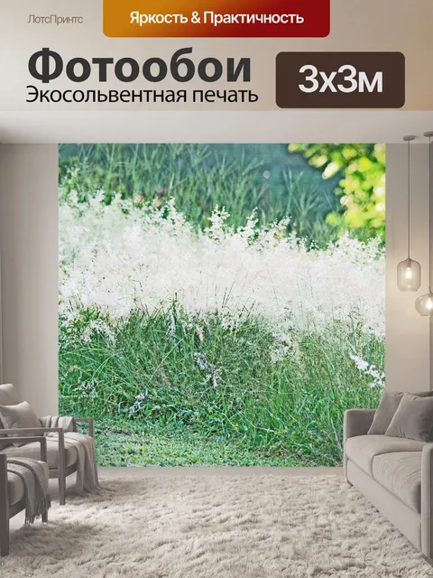 Фотообои Белые пучки травы и семена